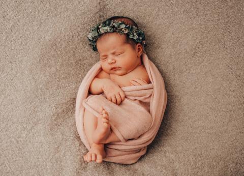 Babygalerie