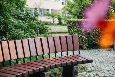 Blick in den Patientengarten am Krankenhaus St. Joseph-Stift Dresden, Detail Bank