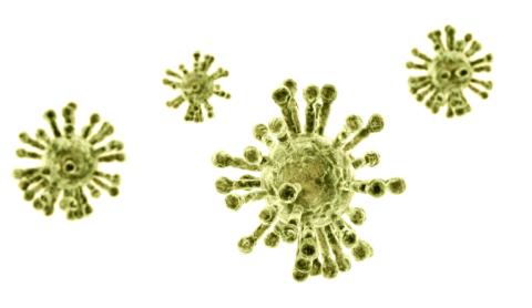 Corona-Virus, Visualisierung in grün. mehr Infos zu aktuellen Corona-Regelungen im St. Joseph-Stift Dresden.