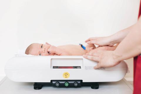 Geburtshilfe im Krankenhaus St. Joseph-Stift Dresden, Untersuchung eines Neugeborenen, 4