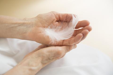 Leicht wie eine Feder in der Hand. Willkommen im Marien-Hospiz Dresden.