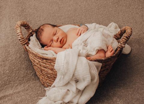 Baby im Weidenkörbchen – Vorschaubild für Babymesse Dresden