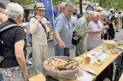 Gastmahl Dresden 2025 – Impressionen vom Tisch des St. Joseph-Stifts