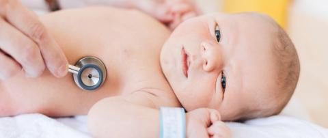 Geburtshilfe im St. Joseph-Stift 2026: Geborgen und sicher im St. Joseph-Stift Dresden, mit 24/7 kinderärztlicher Betreuung.